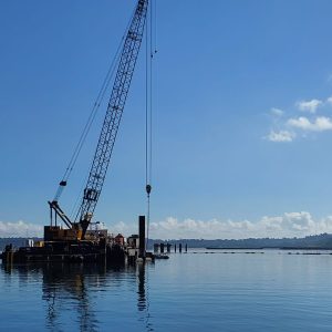 IMG-20240808-WA1118