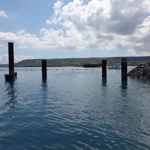 IMG-20240808-WA1123